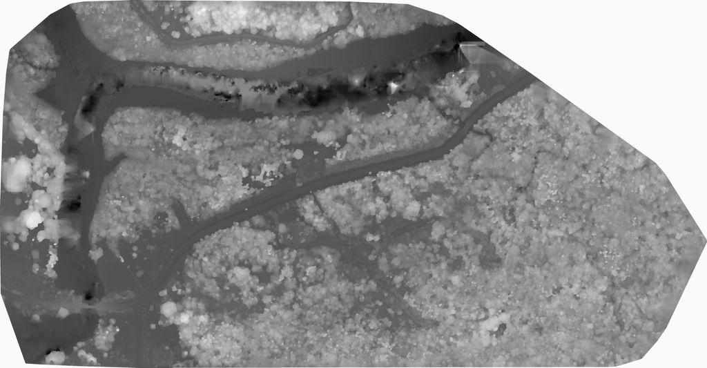 The look of bare Digital Surface Model for Vunivadra Waiwai, Nakelo District, Fiji